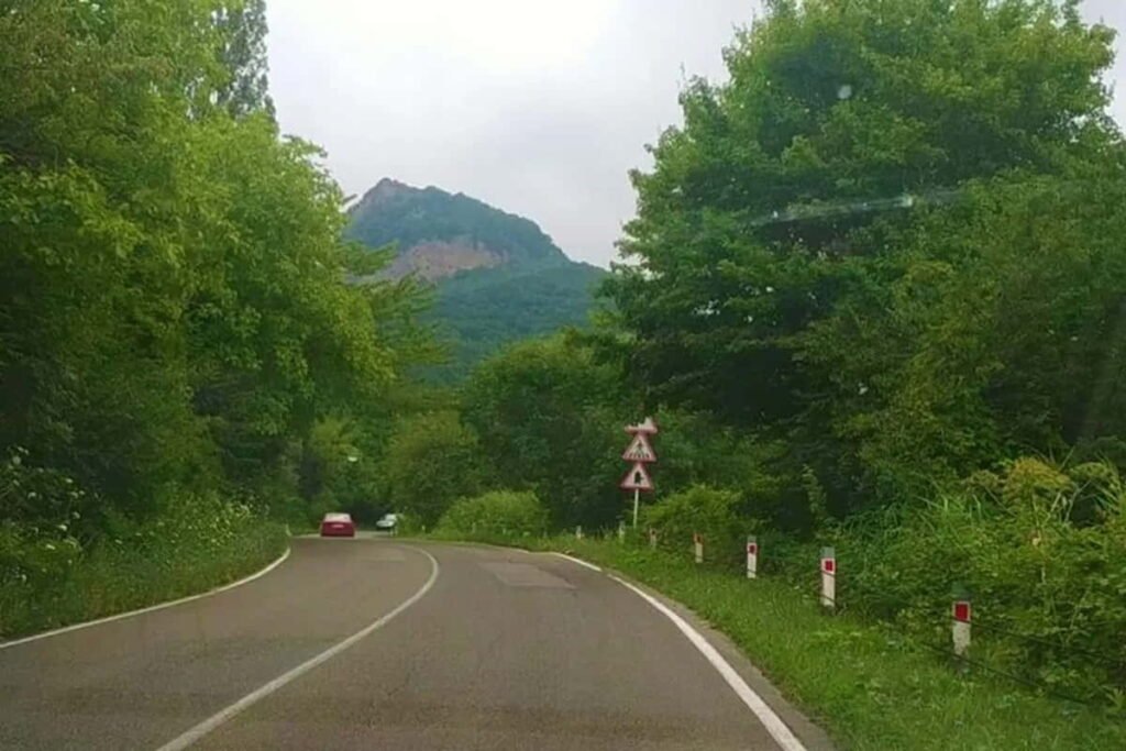 Дорога из Тбилиси в Сигнахи в регионе Кахети